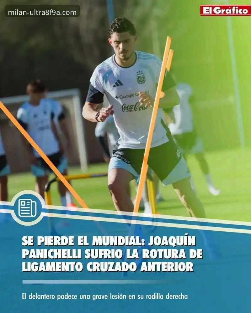 深度剖析球星伤退：从帕尼切利事件看顶级赛事信息获取实用指南